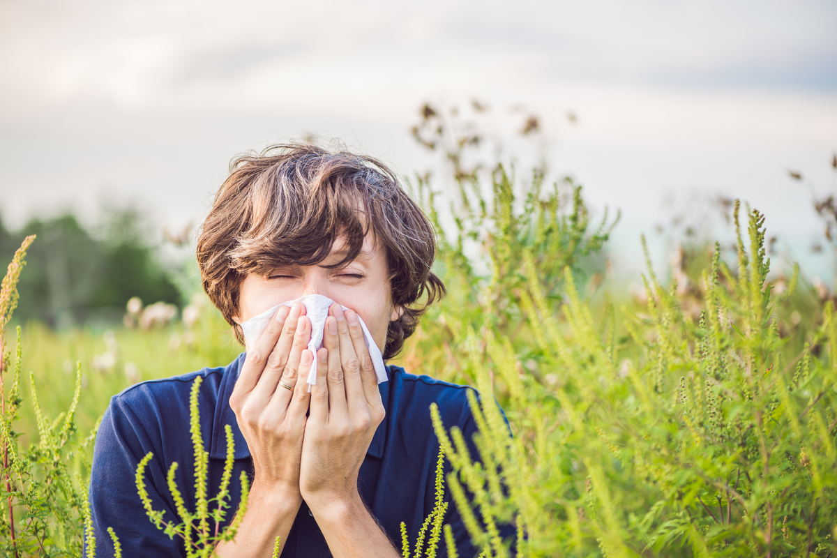 A young man sneezes due to seasonal allergy, hay fever